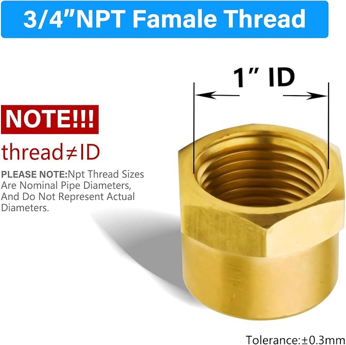 Vis 3/4" NPT Female Cap Brass Pipe Fitting, Hex Head Used - Image 2